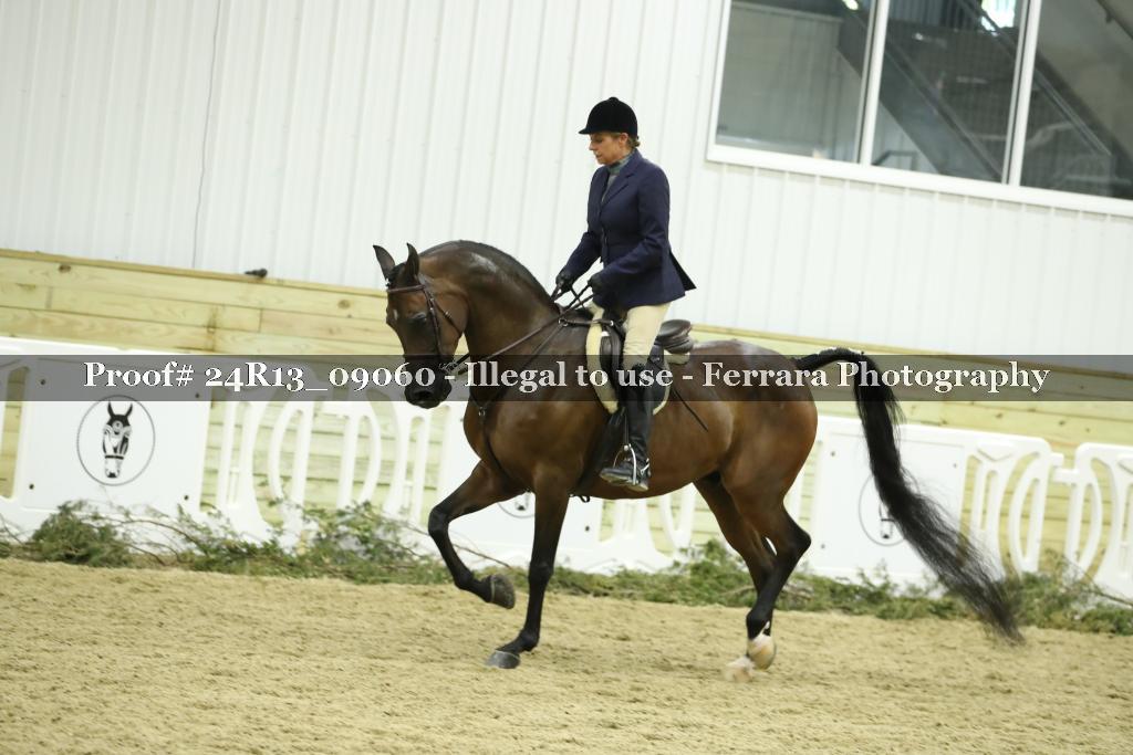 Proof 24R13_09060