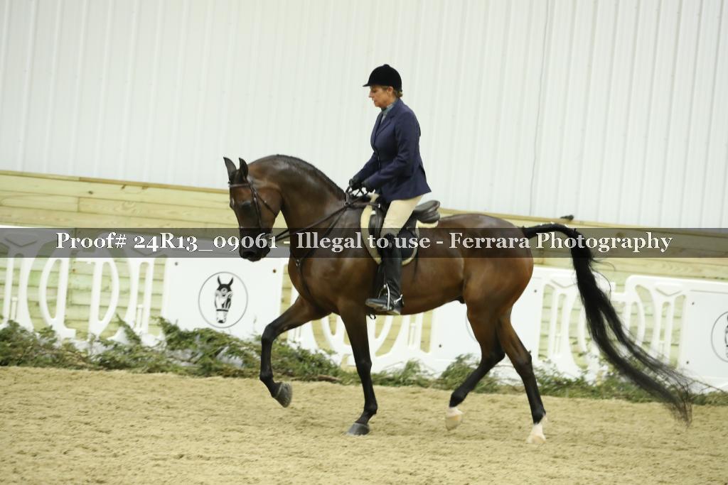 Proof 24R13_09061