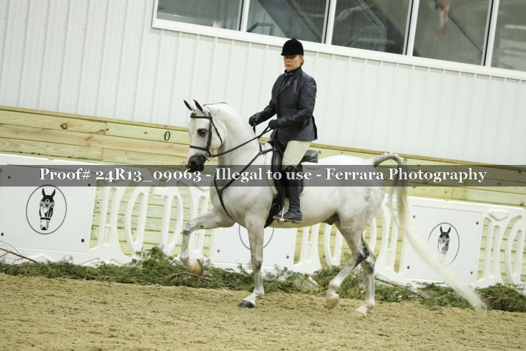 Proof 24R13_09063