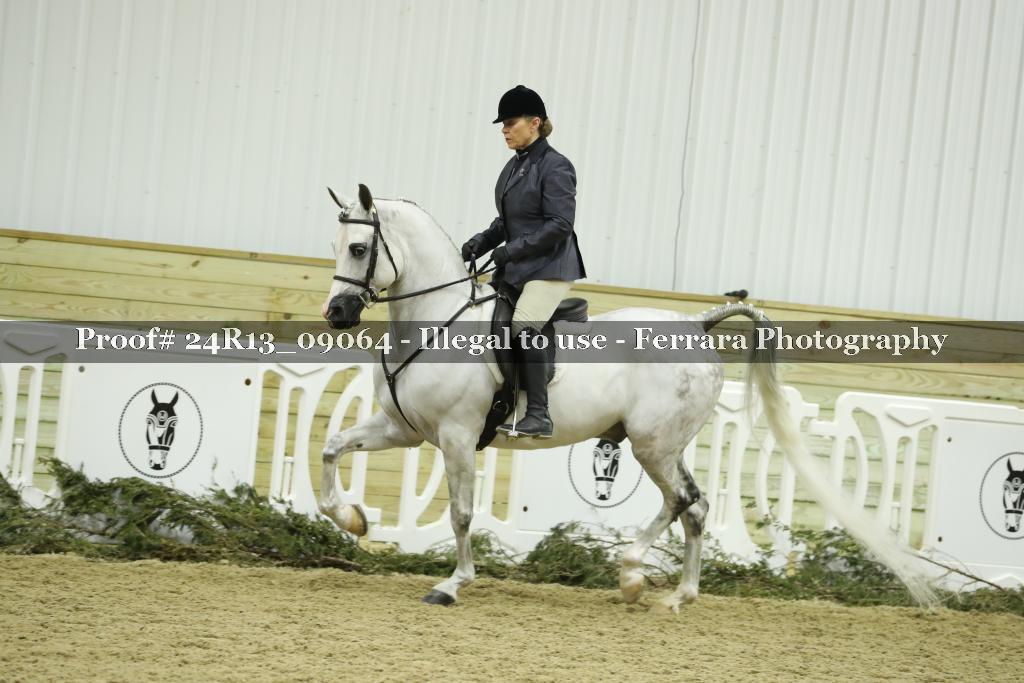 Proof 24R13_09064