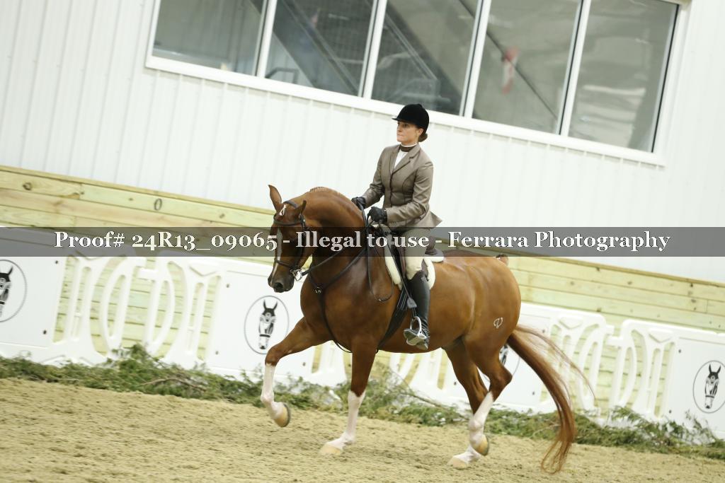 Proof 24R13_09065