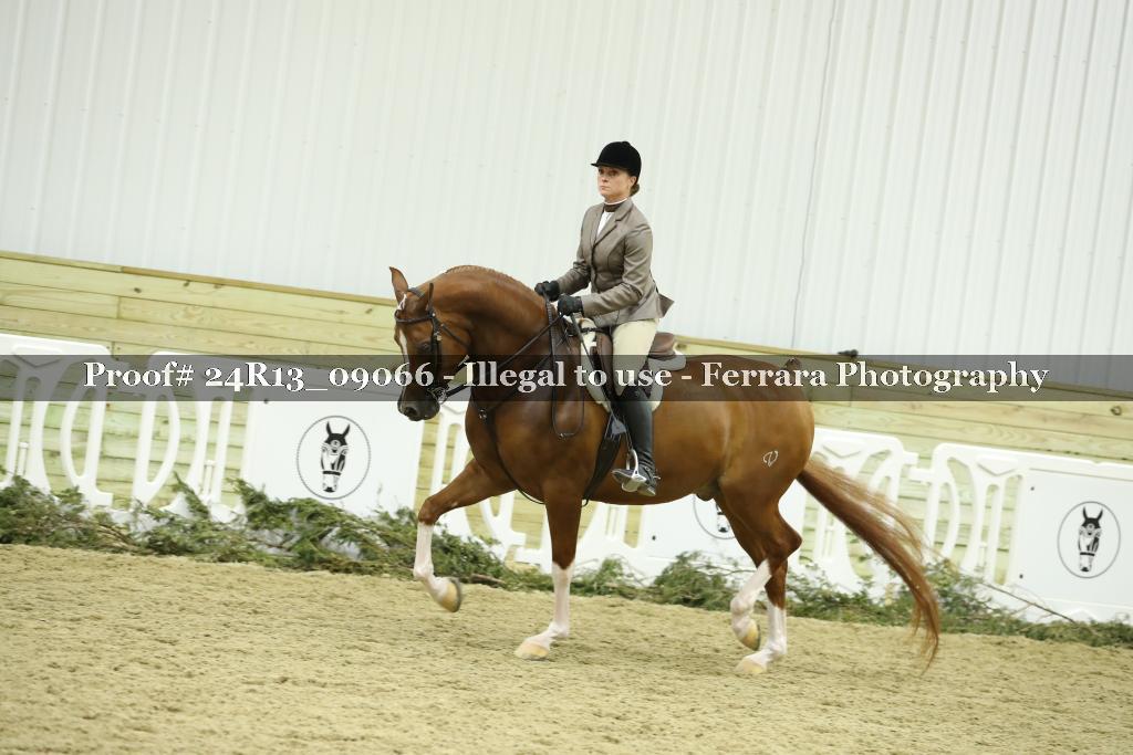 Proof 24R13_09066