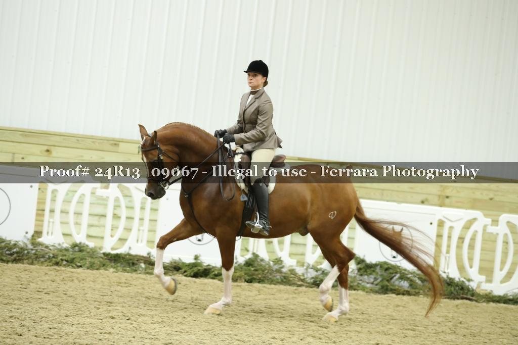 Proof 24R13_09067