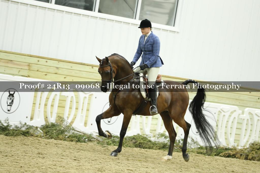 Proof 24R13_09068