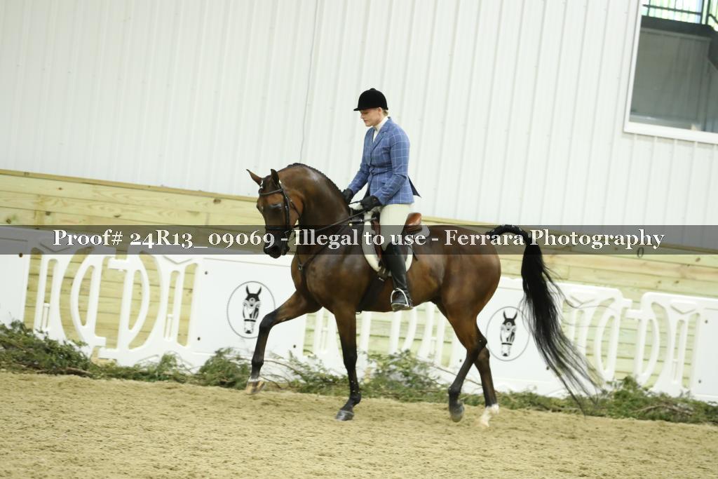 Proof 24R13_09069