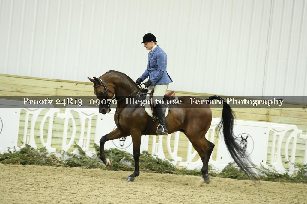 Proof 24R13_09070