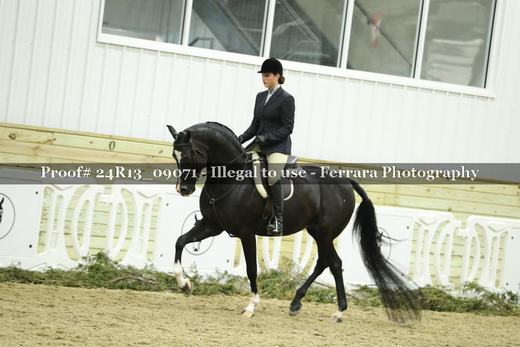 Proof 24R13_09071
