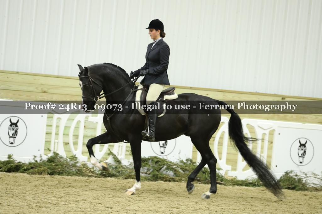 Proof 24R13_09073