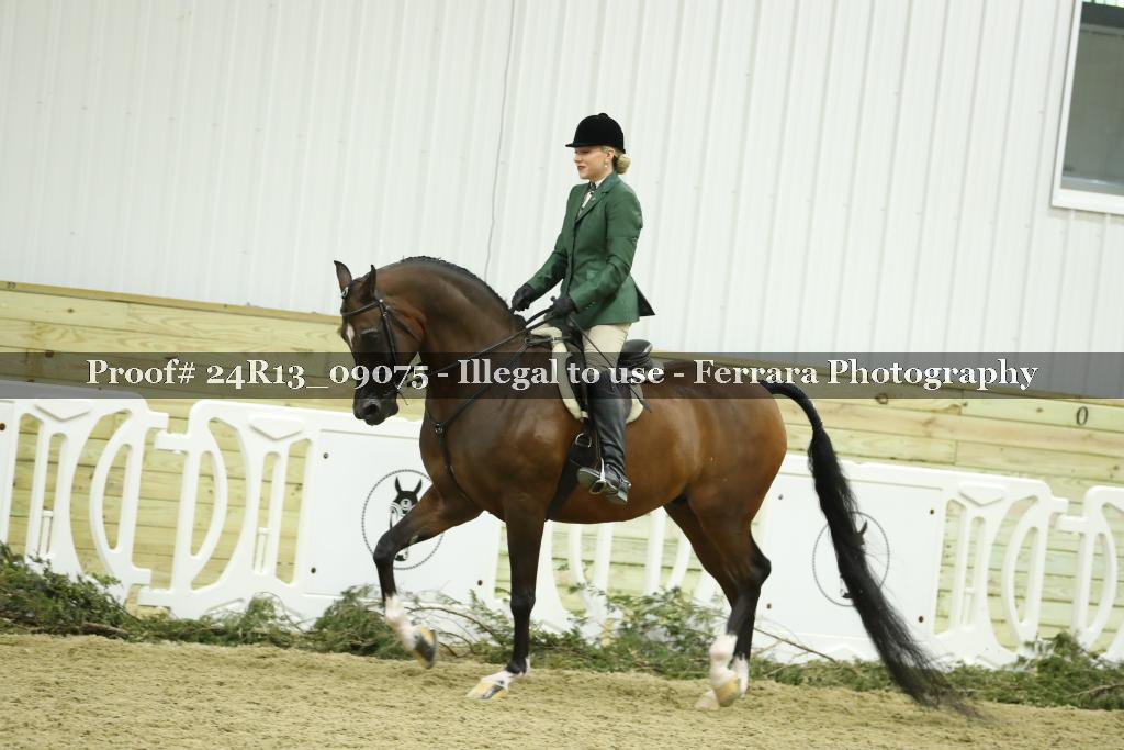 Proof 24R13_09075