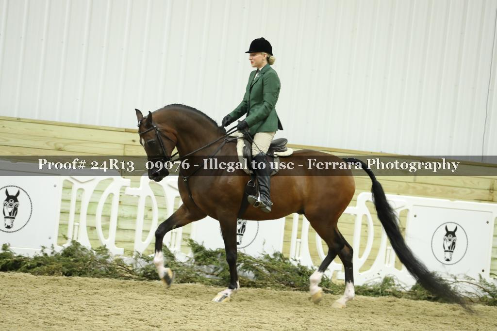 Proof 24R13_09076