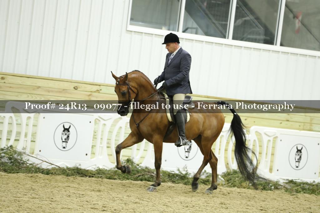Proof 24R13_09077