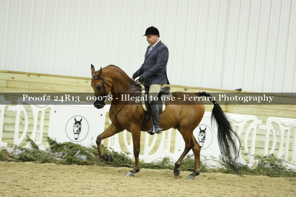 Proof 24R13_09078