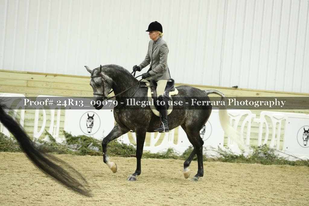 Proof 24R13_09079