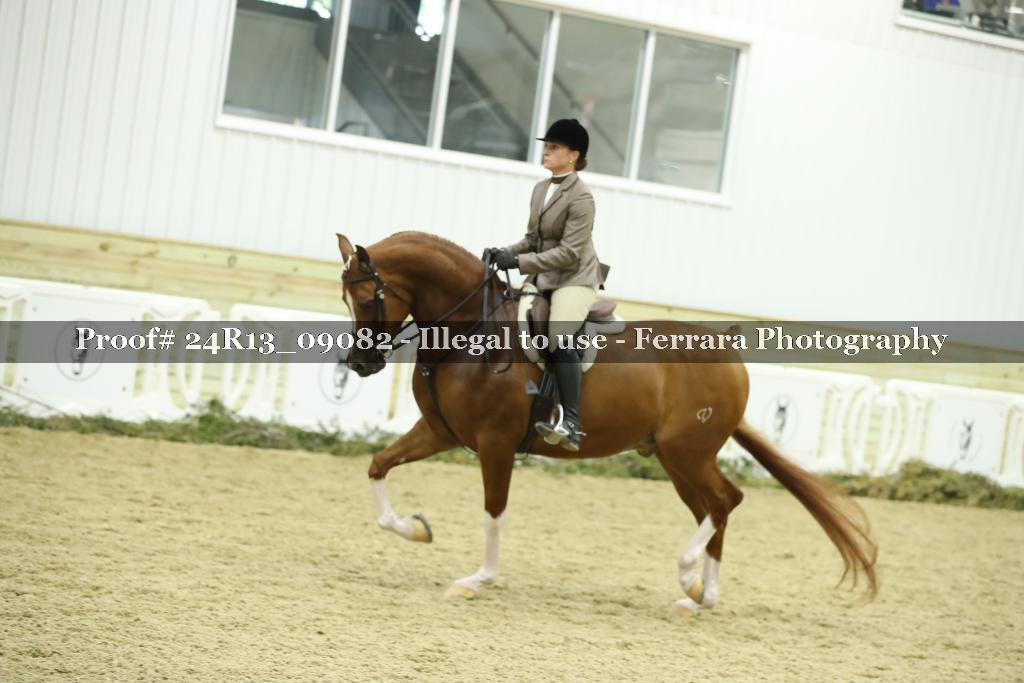 Proof 24R13_09082