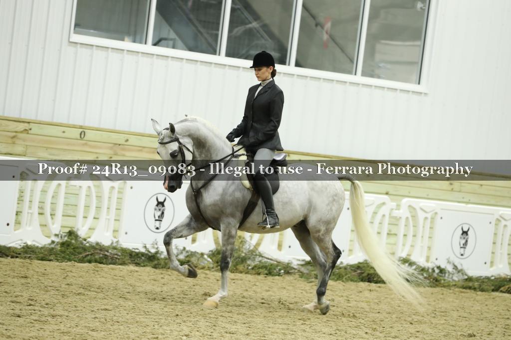 Proof 24R13_09083