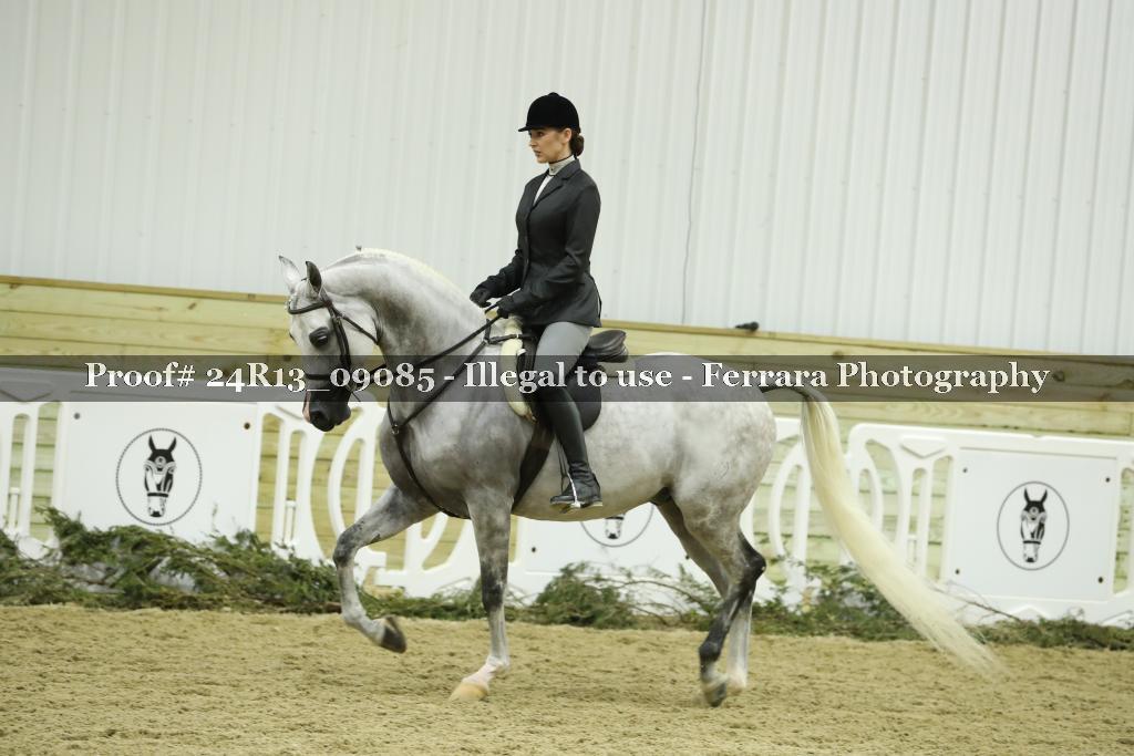 Proof 24R13_09085