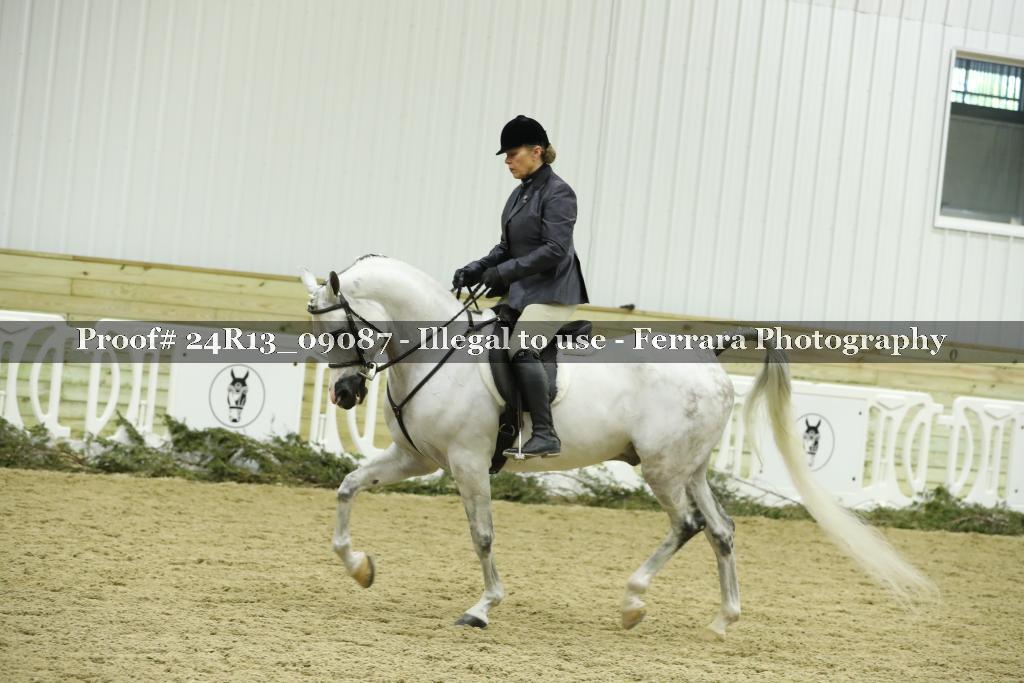 Proof 24R13_09087