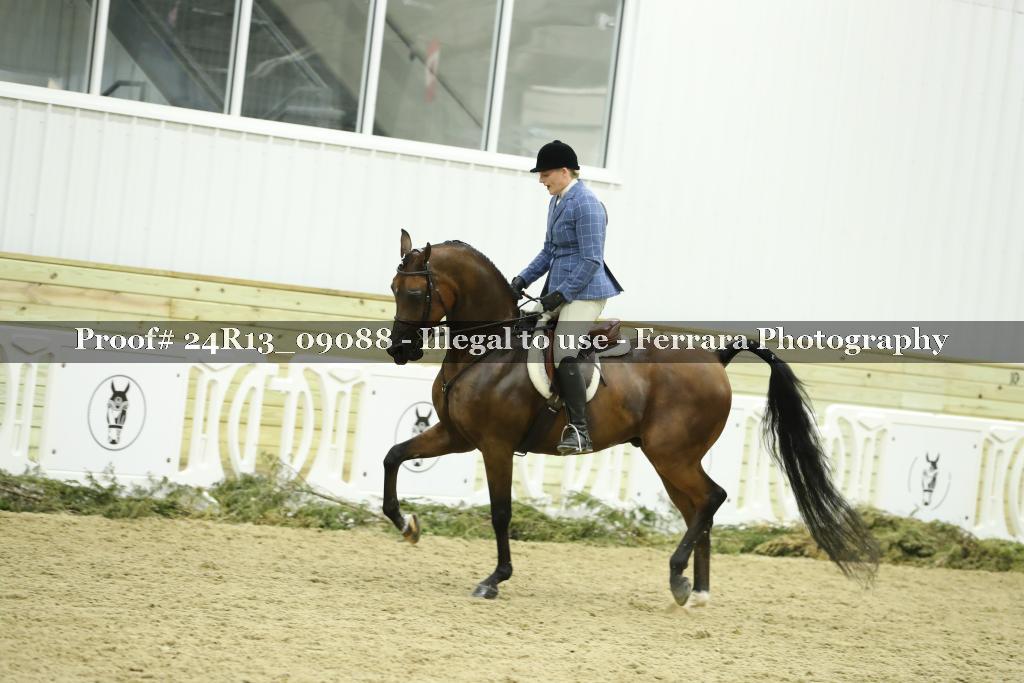 Proof 24R13_09088