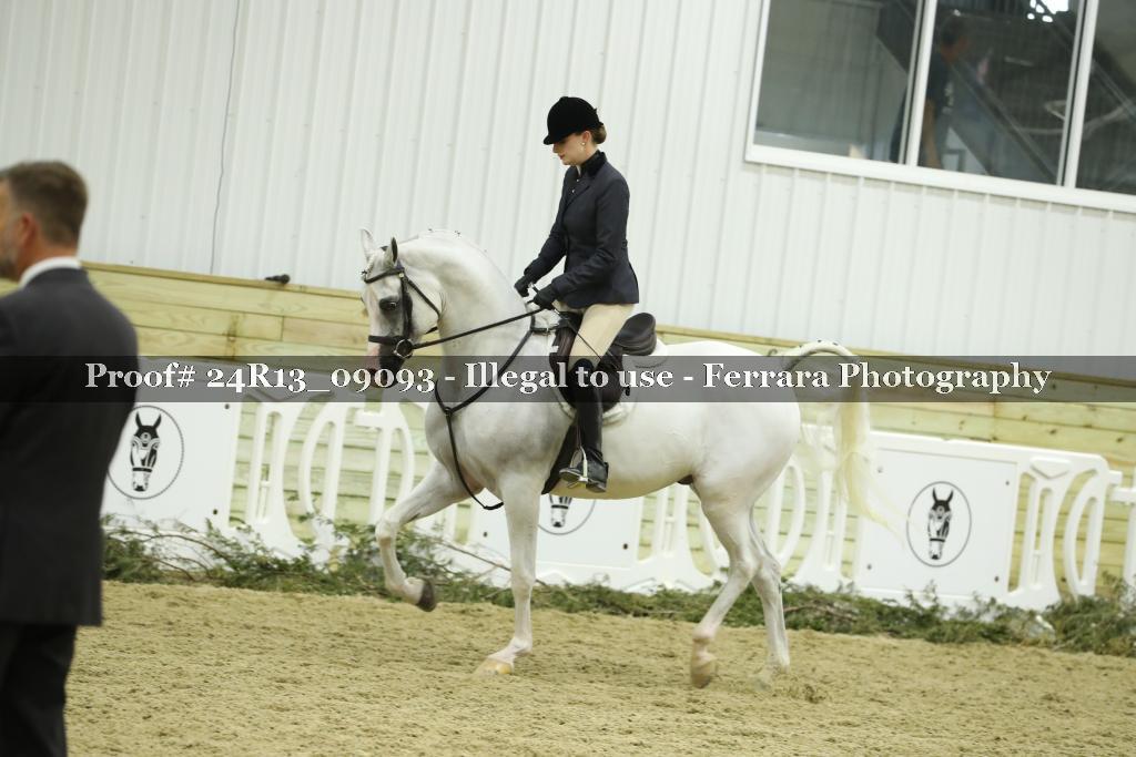 Proof 24R13_09093