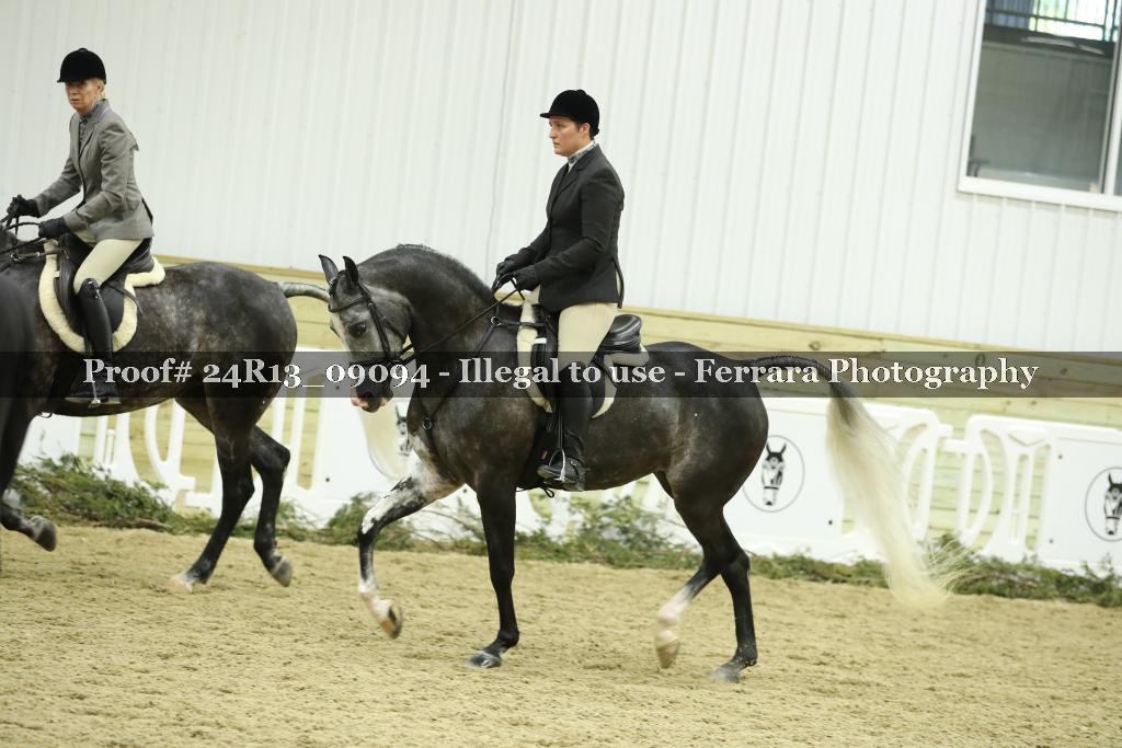 Proof 24R13_09094