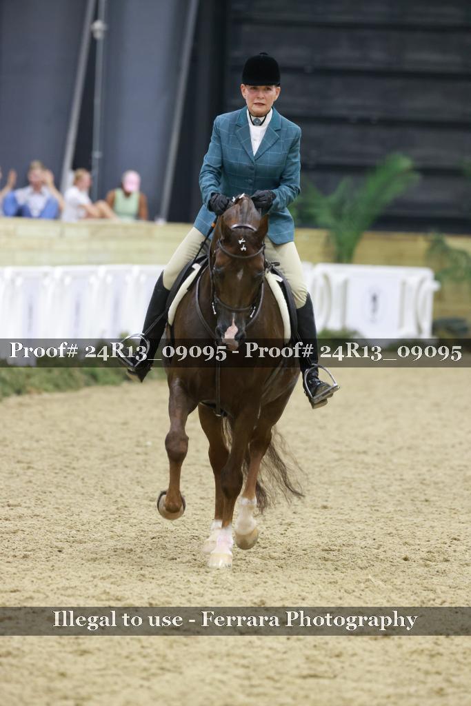 Proof 24R13_09095