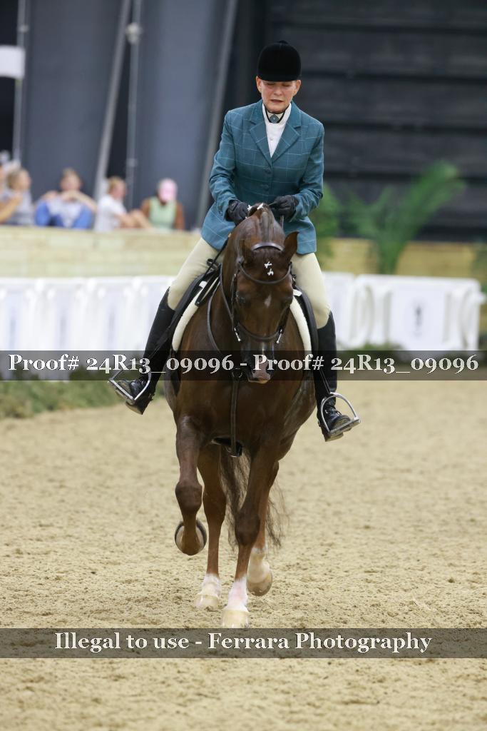 Proof 24R13_09096