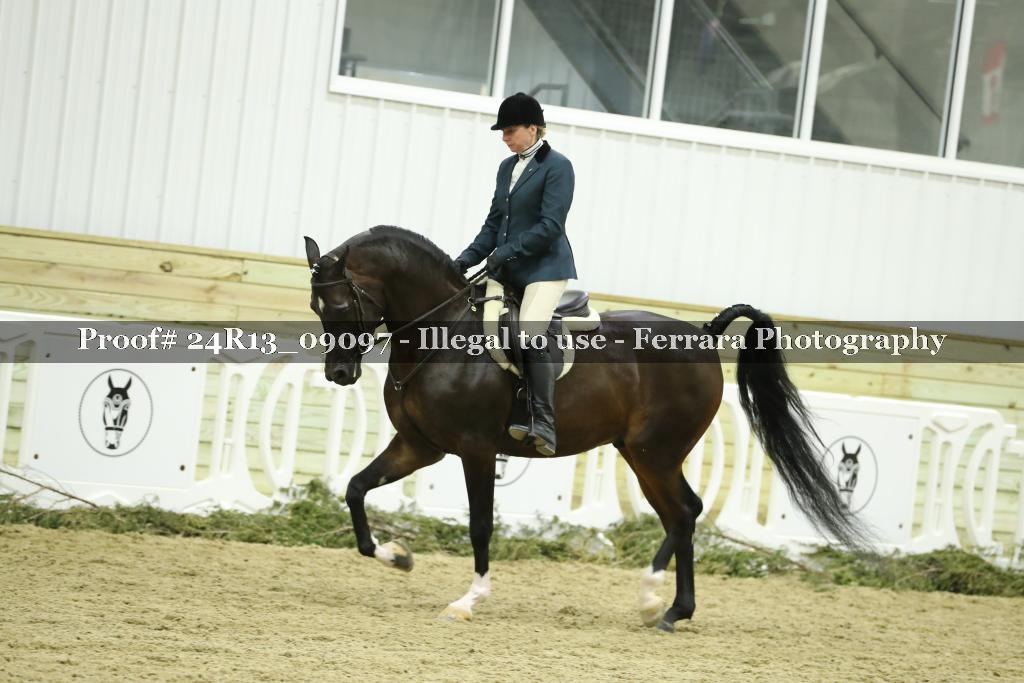 Proof 24R13_09097
