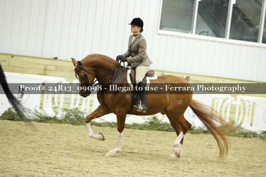 Proof 24R13_09098