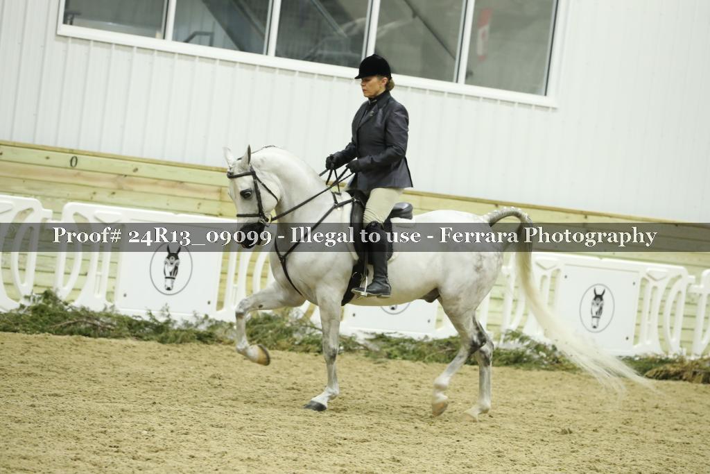 Proof 24R13_09099