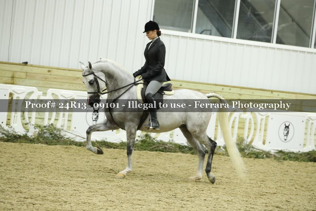 Proof 24R13_09101