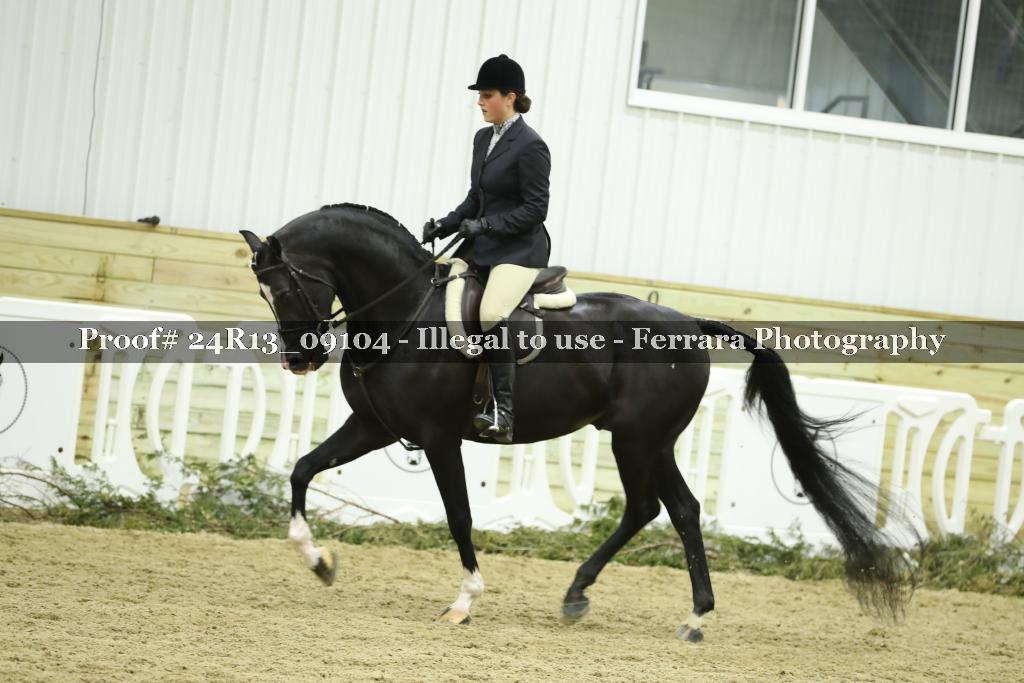 Proof 24R13_09104