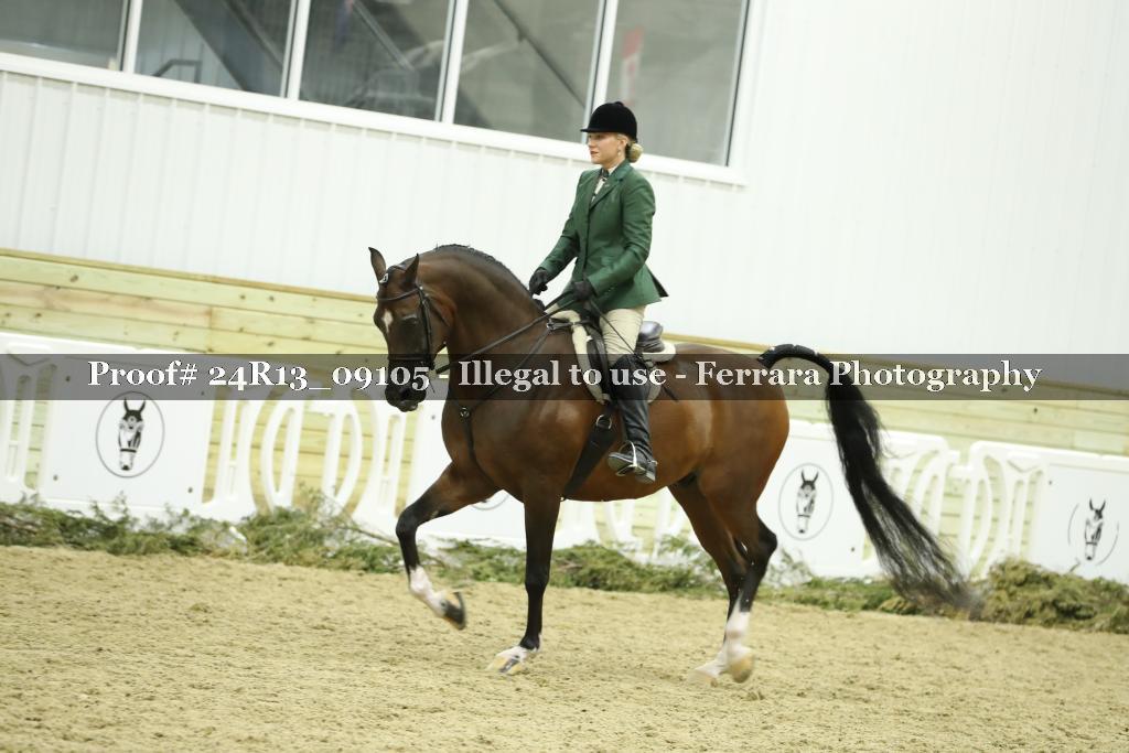 Proof 24R13_09105