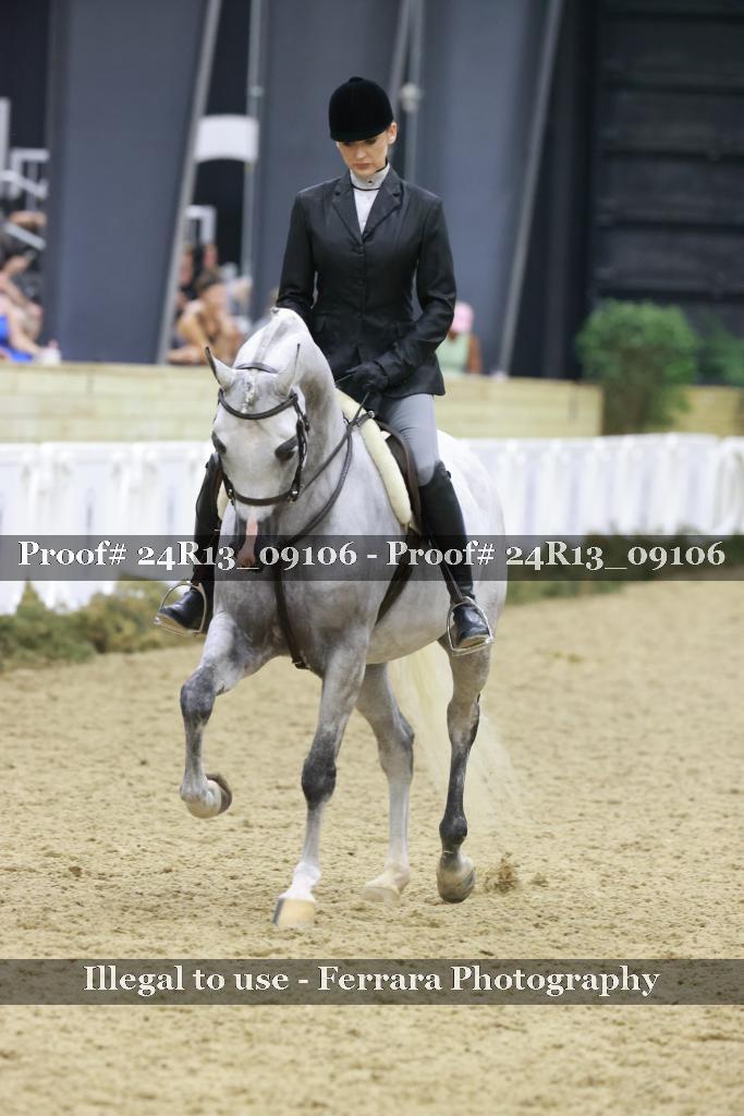 Proof 24R13_09106