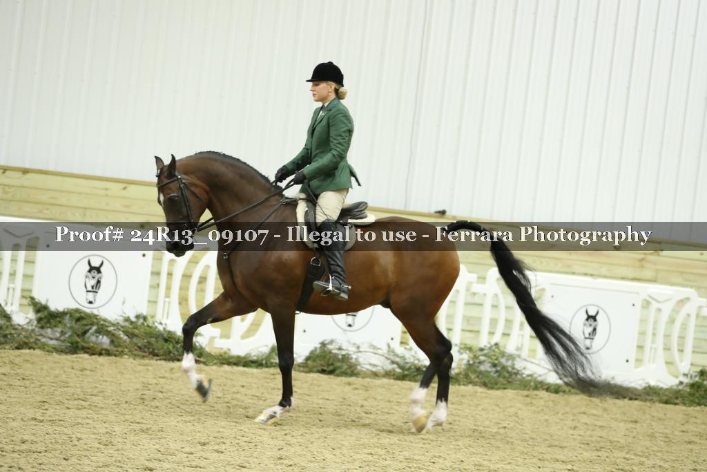 Proof 24R13_09107