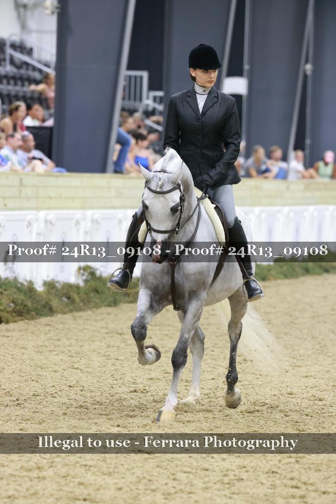 Proof 24R13_09108