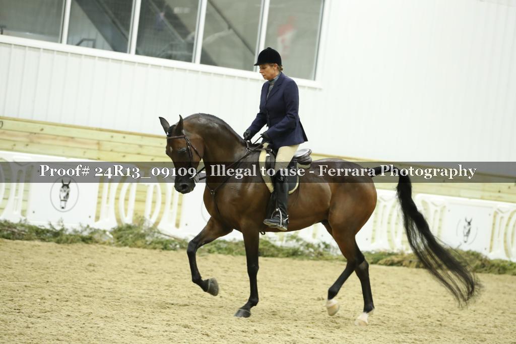 Proof 24R13_09109