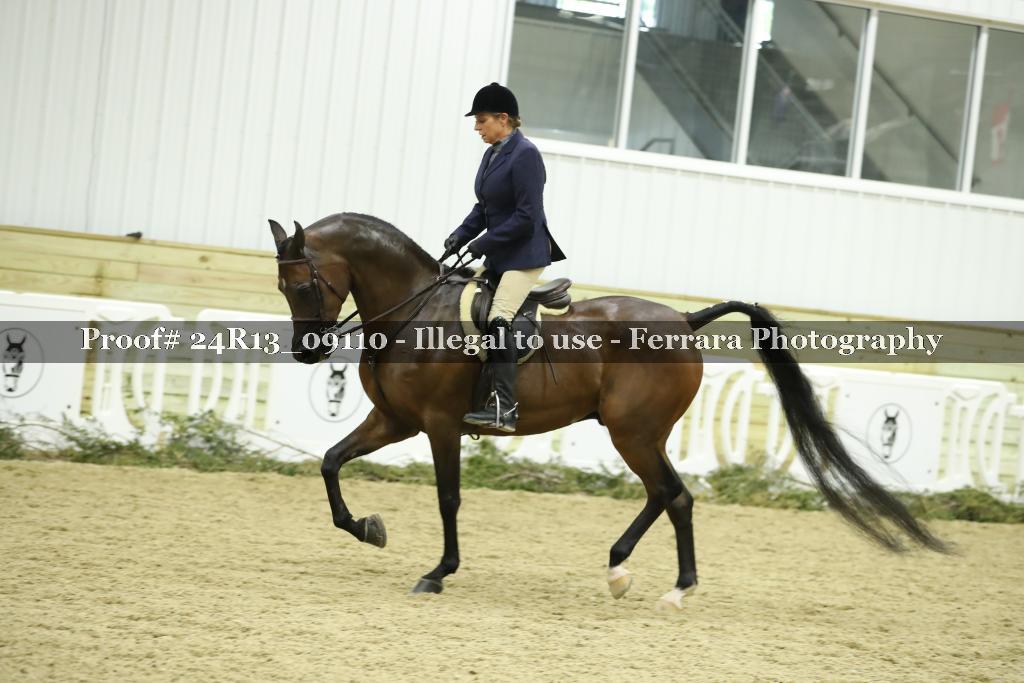Proof 24R13_09110