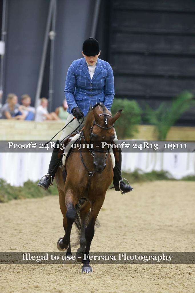 Proof 24R13_09111