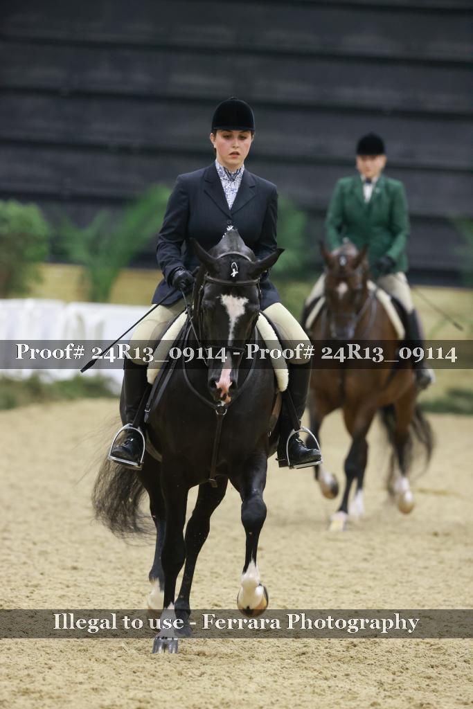 Proof 24R13_09114