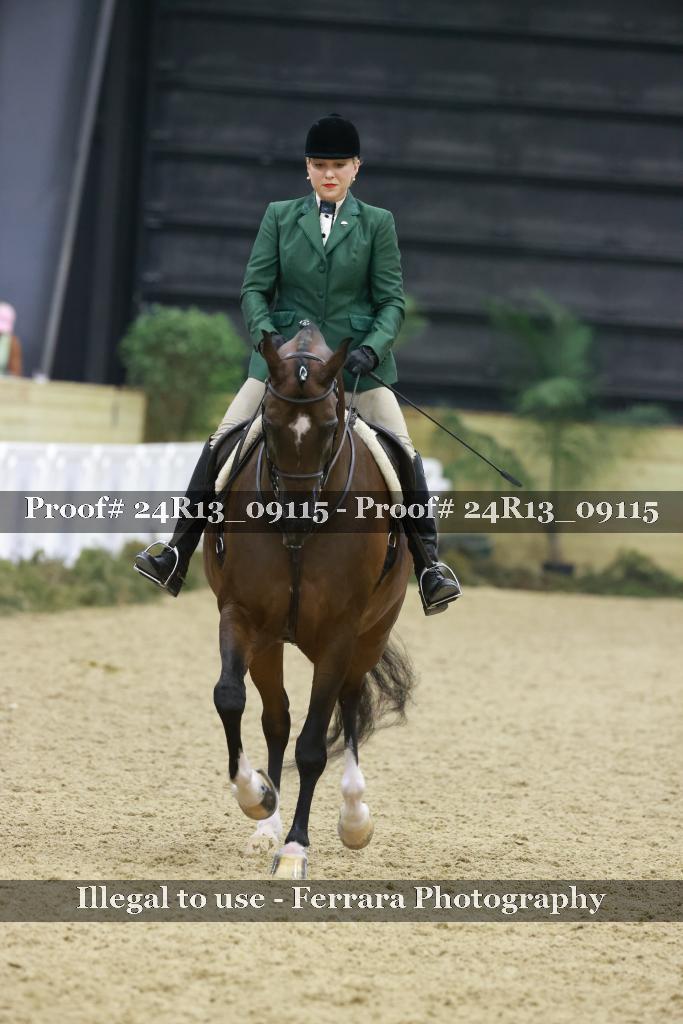 Proof 24R13_09115