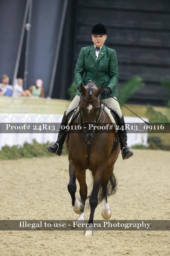 Proof 24R13_09116