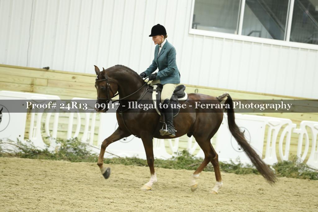 Proof 24R13_09117