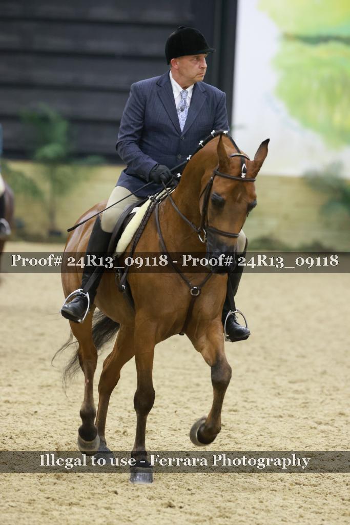 Proof 24R13_09118