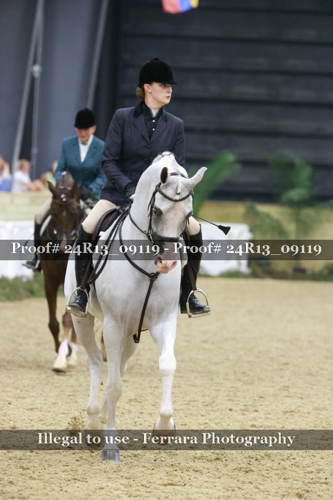 Proof 24R13_09119