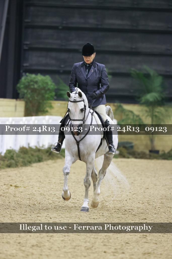 Proof 24R13_09123