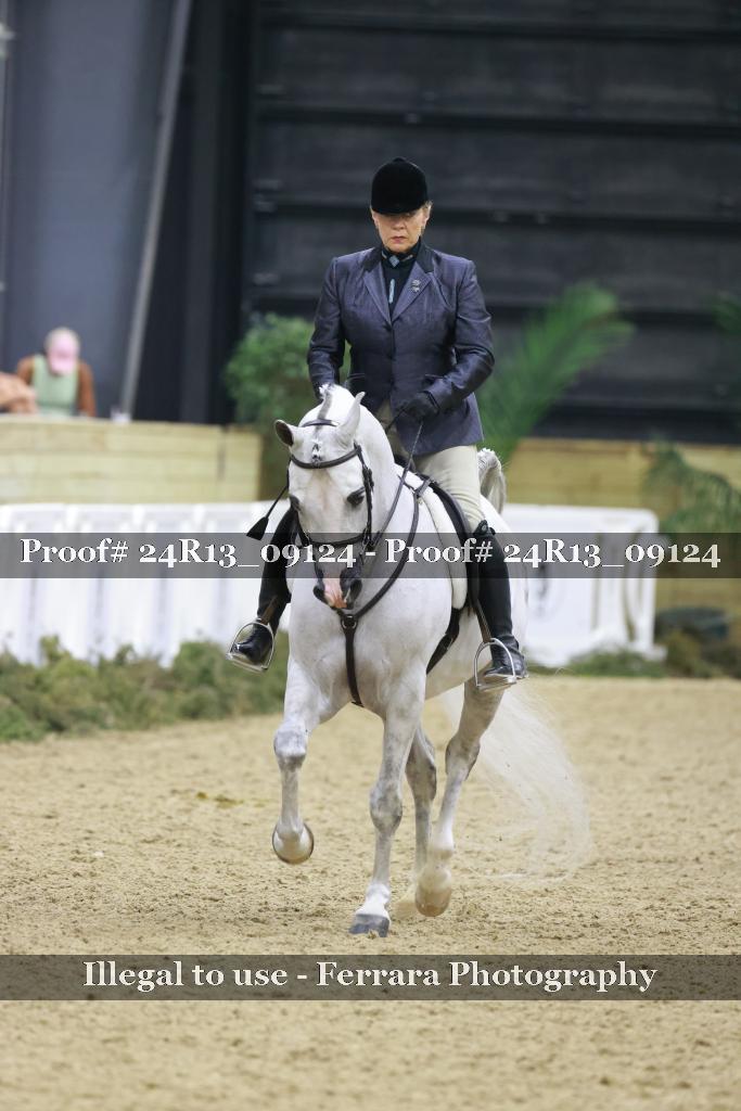Proof 24R13_09124