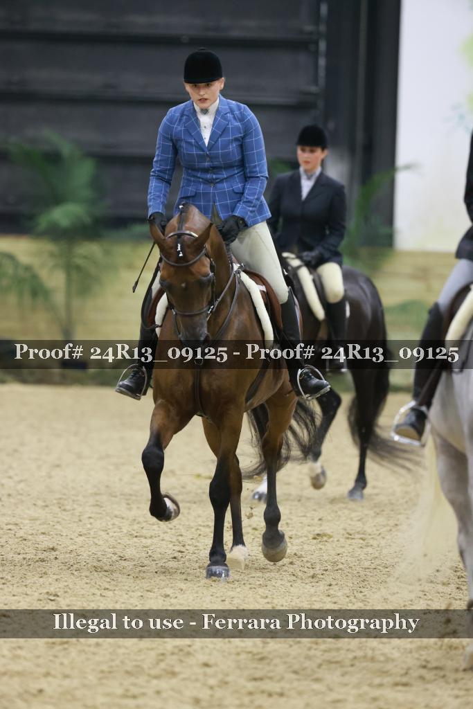 Proof 24R13_09125