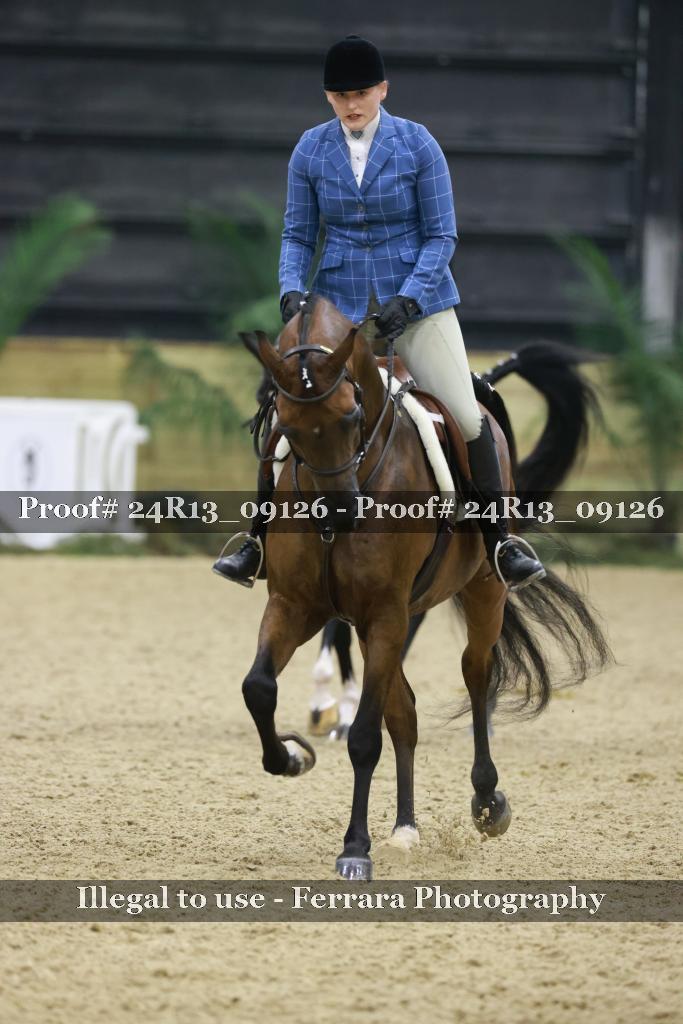 Proof 24R13_09126