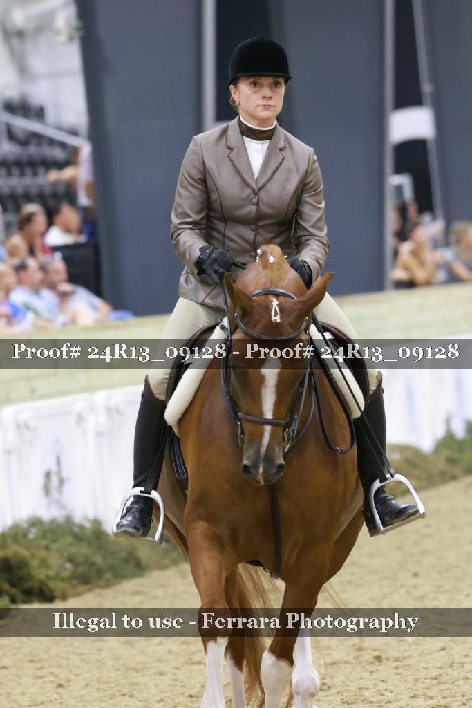 Proof 24R13_09128