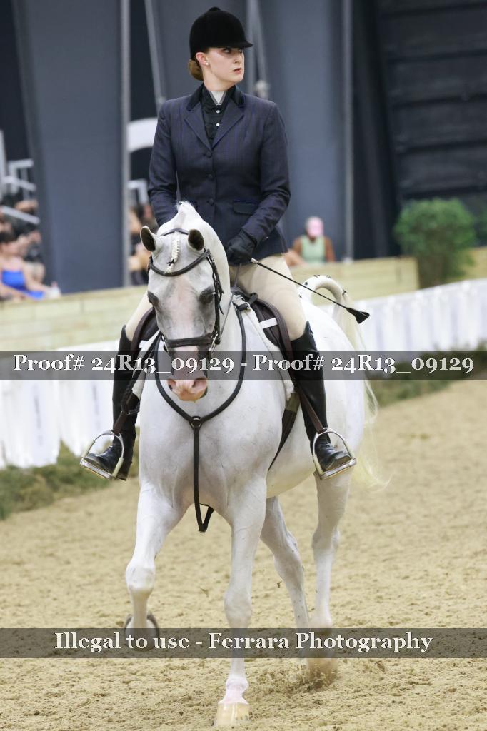 Proof 24R13_09129